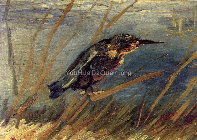 翠鸟 - 文森特·威廉·梵高